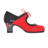 Zapatos de flamenco profesionales personalizables